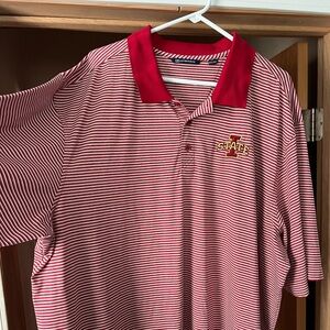 Men's Iowa State Polo